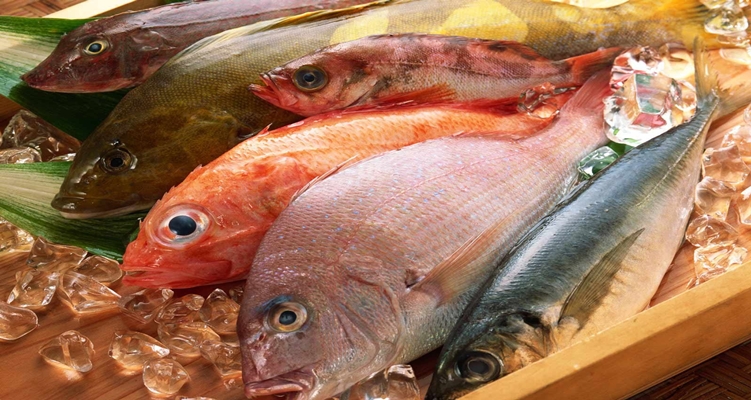 نصائح كيف تختارى السمك الطازج