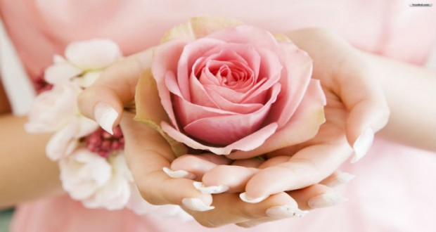 pink-rose-in-her-hands-c-hd-wallpaper-72974