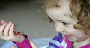 خطورة لدغ الحشرات و تأثيرها على الطفل